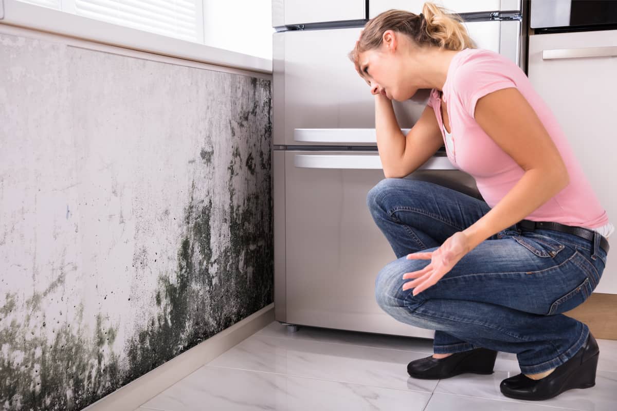Can I Sue My Landlord For Mold Exposure? - Saffren & Weinberg